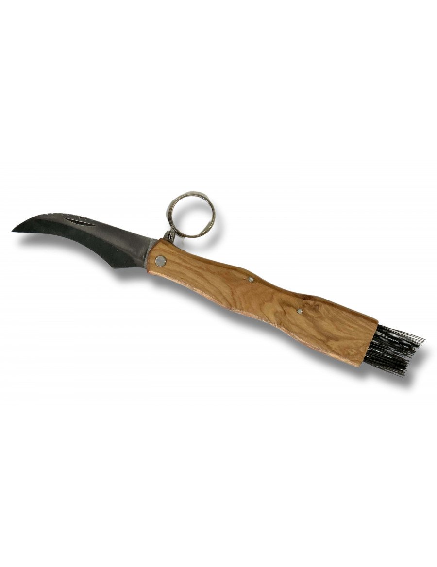 CUCHILLO PARA SETAS